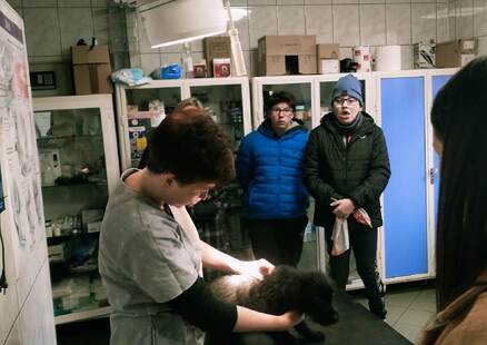 Innowacja pedagogiczna – „Poznajemy zawody”