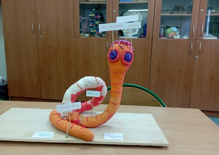 Osobliwości świata zwierząt