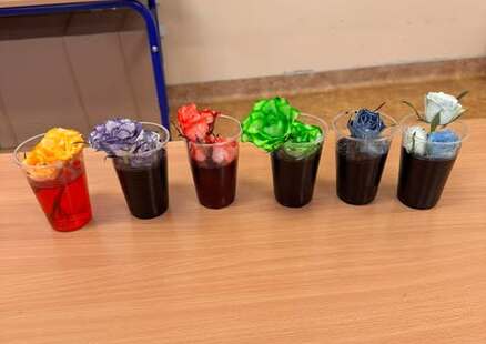 Magia kolorów w Dniu Wiosny