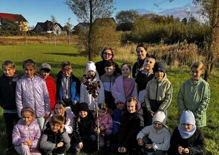 Czerwony dąb - zielony przyjaciel klasy 3D