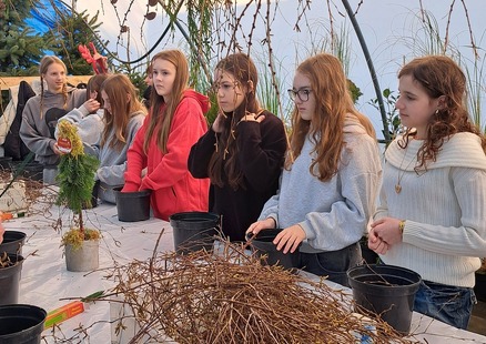 7B w Grodz Ogrodach w Zagórzynie